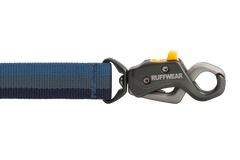 Roamer Lock™ Bungee Dog Leash