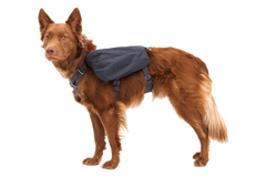 Front Range® Day Pack