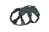Web Master™ Dog Harness with Handle