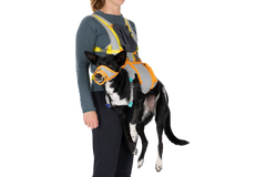 BackTrak™ Dog Evacuation Kit